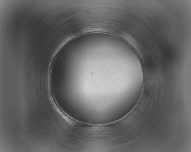X0000070221290200606021311
