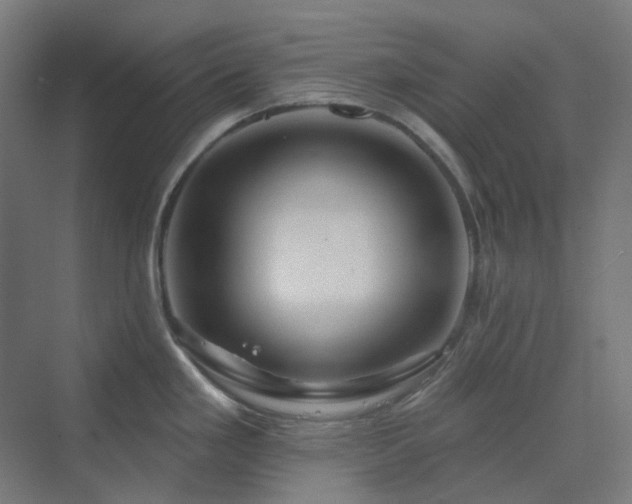 X0000070221293200606021311