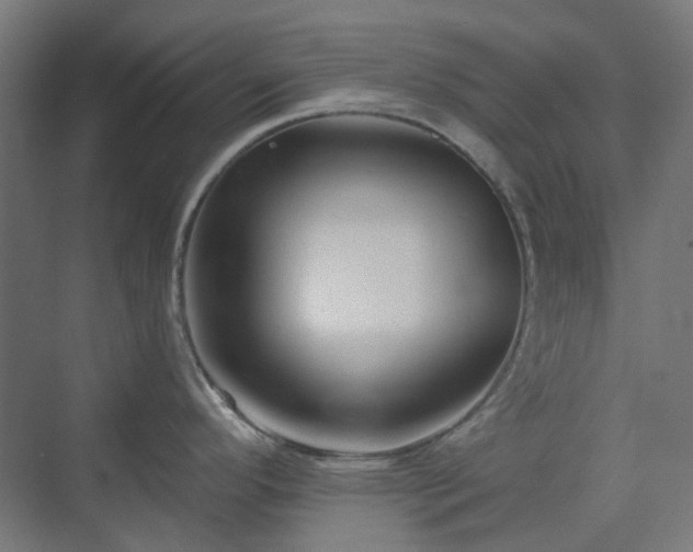X0000070221296200606021311