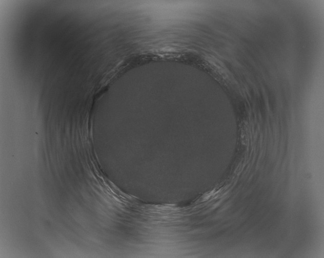 X0000070221298200606021310