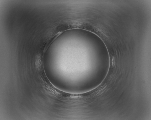 X0000070221299200606021311