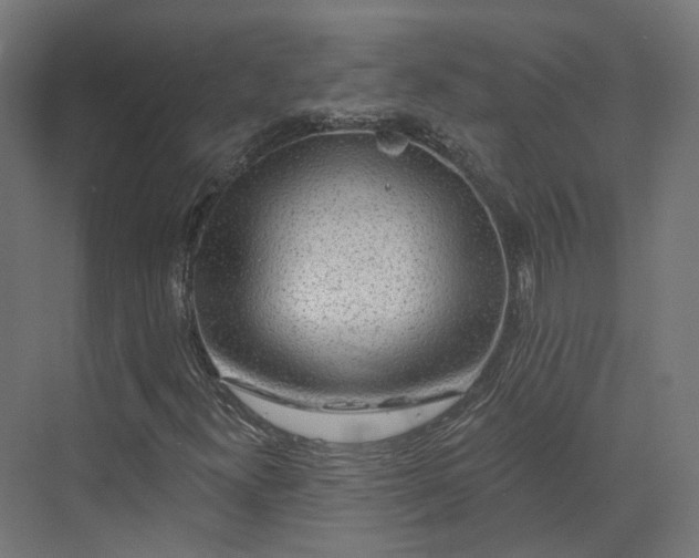 X0000070221300200606021311