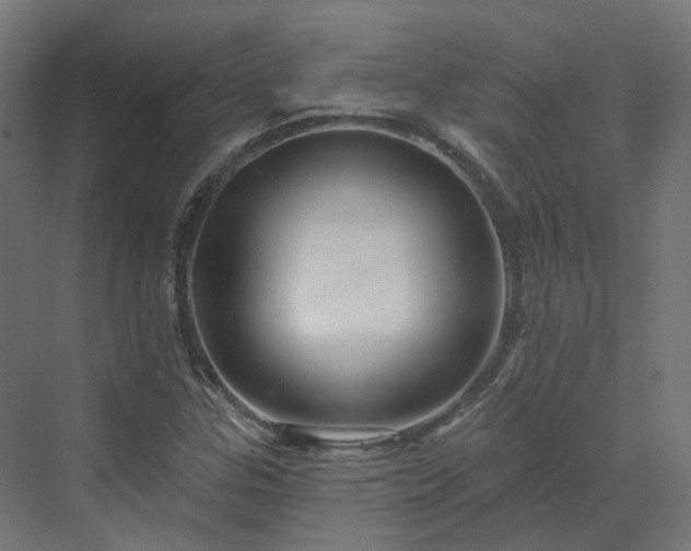 X0000070221307200606021311