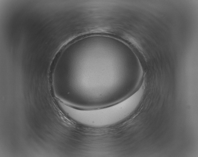 X0000070221308200606021311