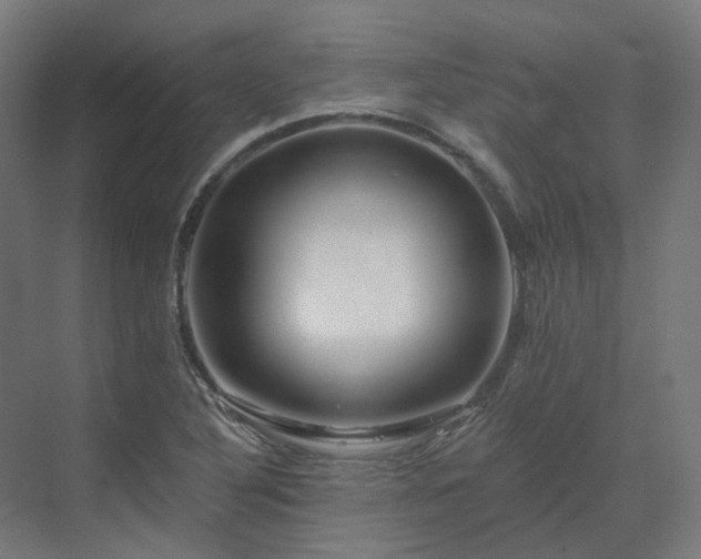 X0000070221316200606021311