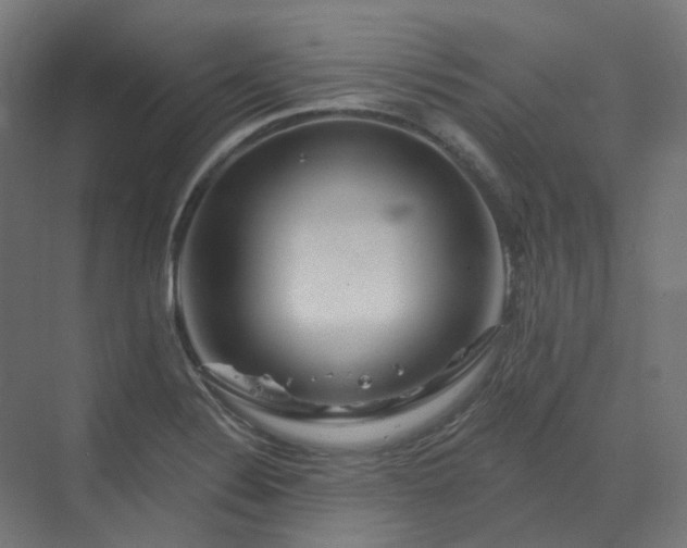 X0000070221324200606021311