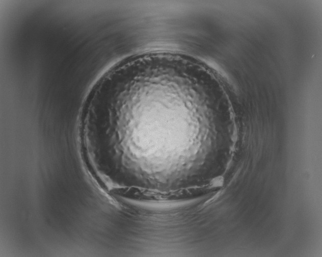 X0000070221325200606021311