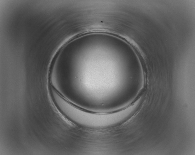 X0000070221333200606021311