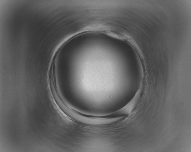 X0000070221344200606021311