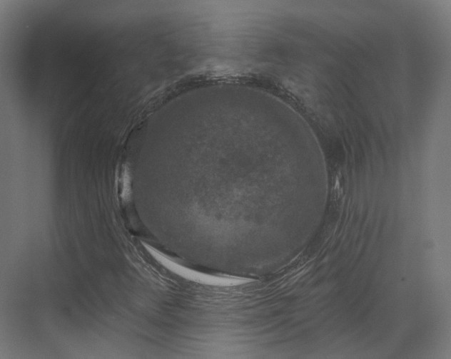 X0000070221348200606021310