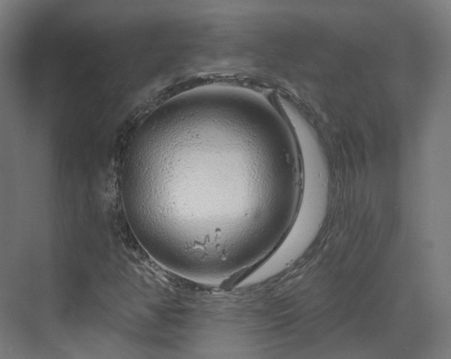 X0000070221350200606021310