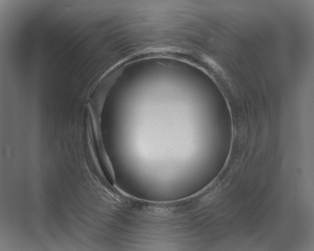 X0000070221361200606021310