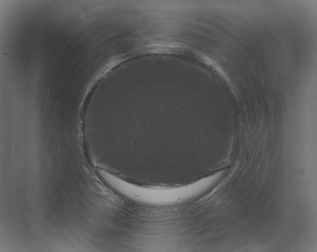 X0000070221362200606021310