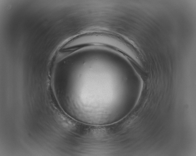 X0000070221363200606021310