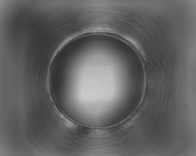 X0000070221374200606021310