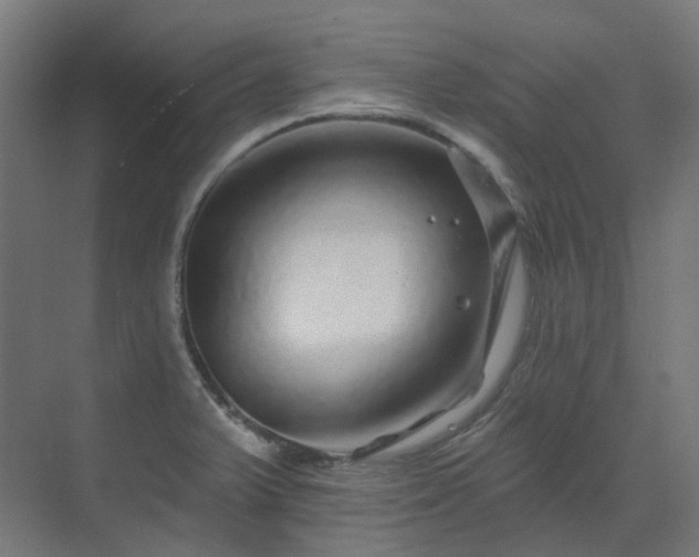 X0000070221375200606021310