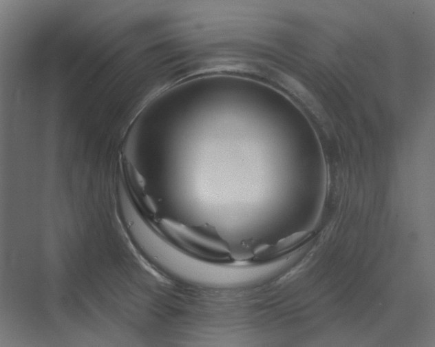 X0000070221377200606021310