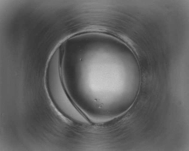 X0000070221379200606021310
