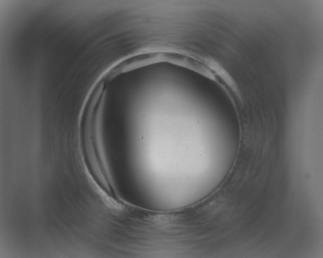 X0000070221380200606021310