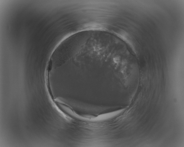 X0000070221383200606021310