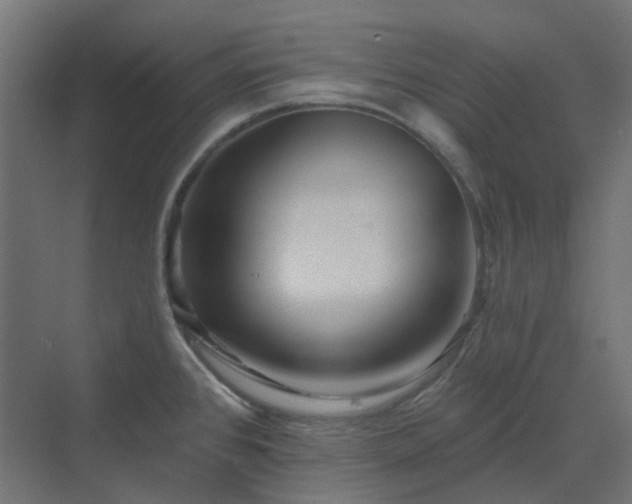 X0000070221384200606021310