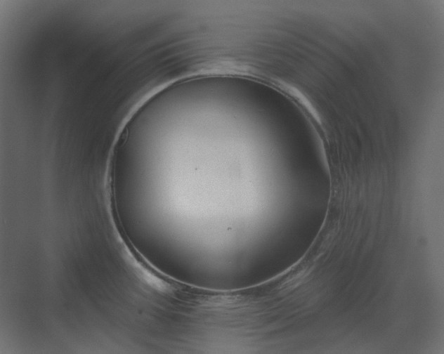 X0000070221387200606021310