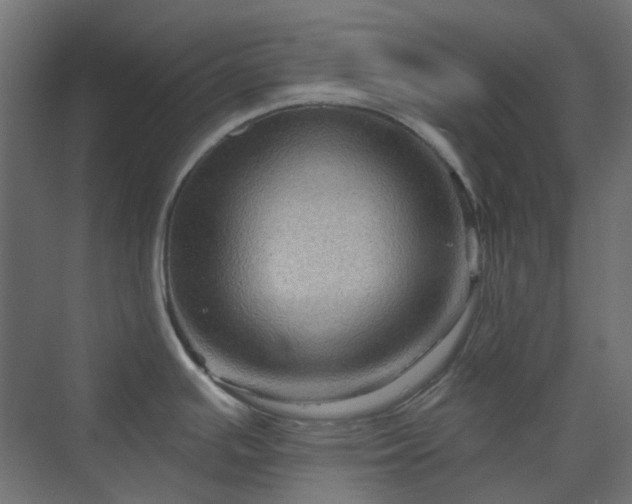 X0000070221391200606021310