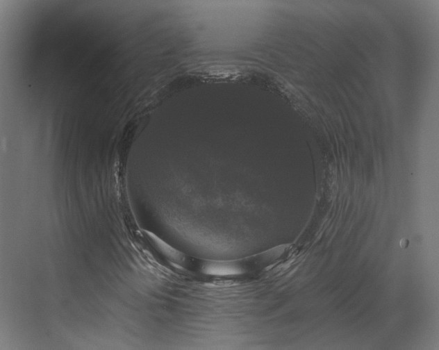 X0000070221394200606021309