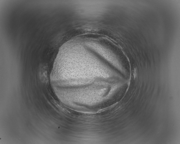 X0000070221396200606021309