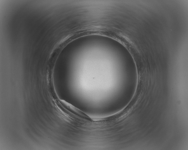 X0000070221402200606021309