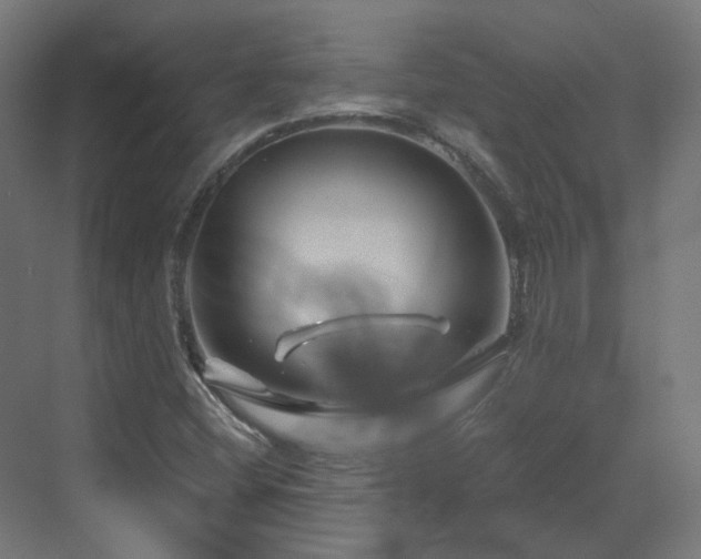 X0000070221404200606021309