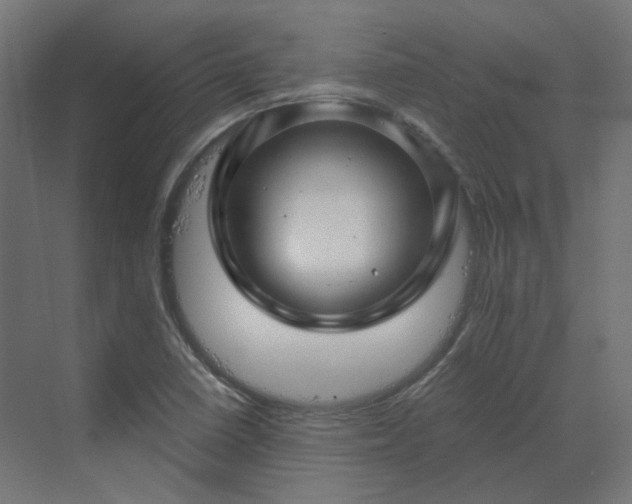 X0000070221410200606021309