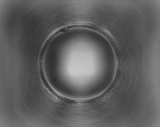 X0000070221412200606021309