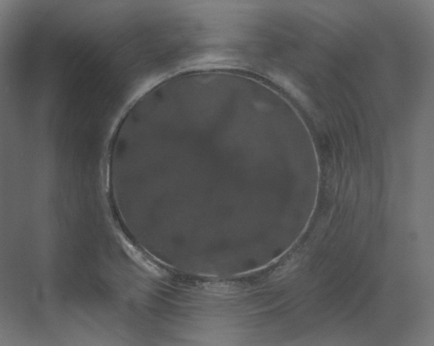 X0000070221413200606021309