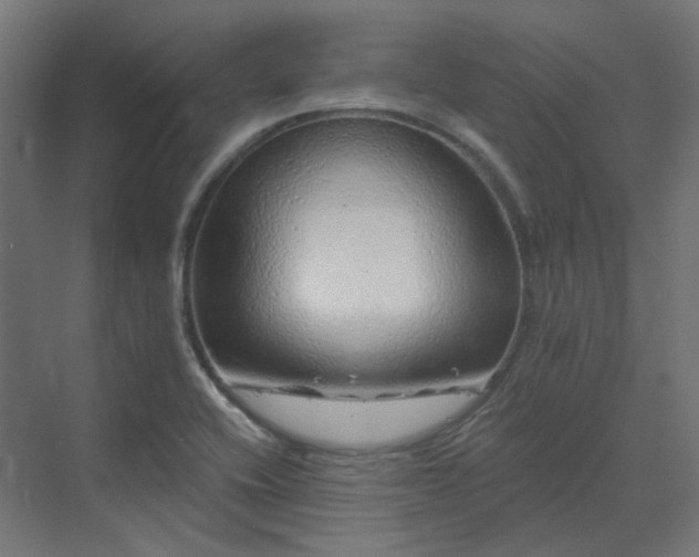 X0000070221416200606021309
