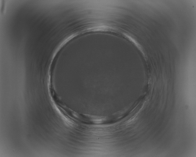 X0000070221418200606021309