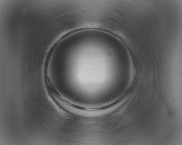 X0000070221422200606021309