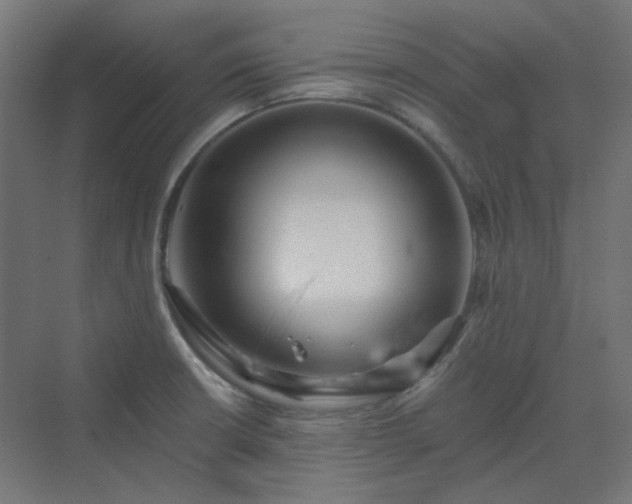 X0000070221426200606021309