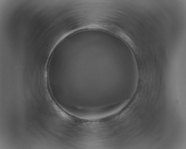 X0000070221428200606021309