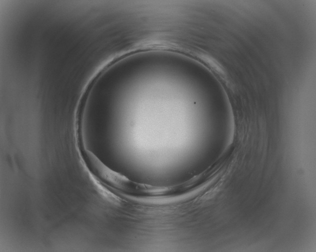 X0000070221430200606021309