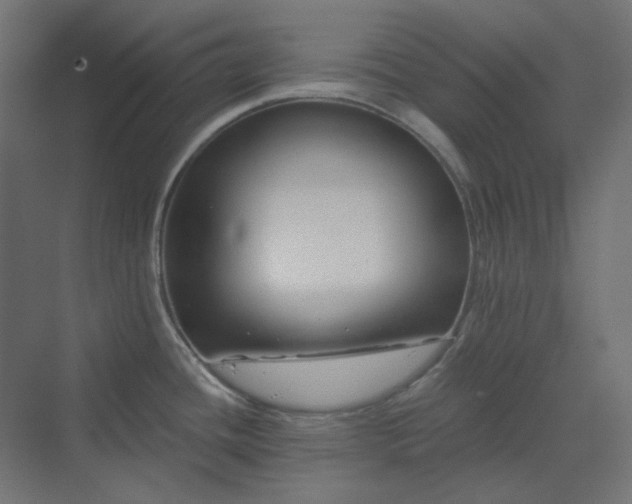 X0000070221436200606021310