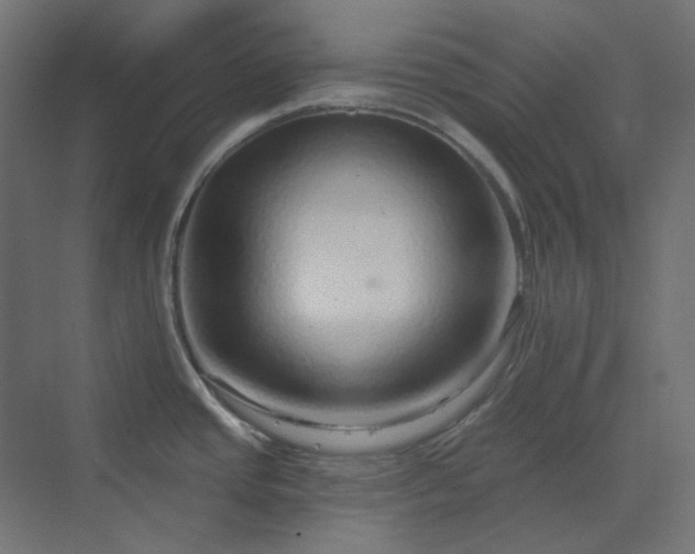 X0000070221437200606021310