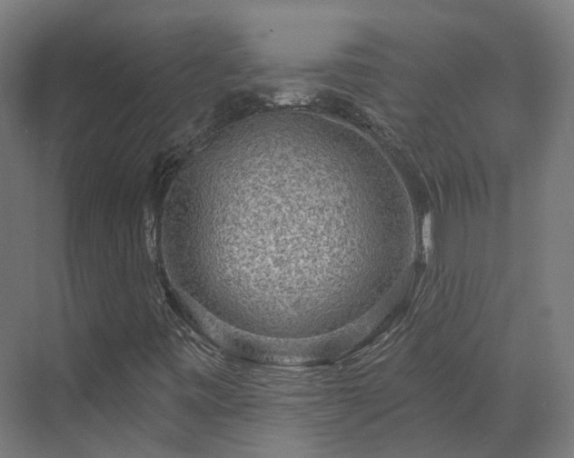 X0000070221443200606021309