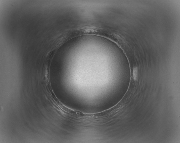 X0000070221444200606021309