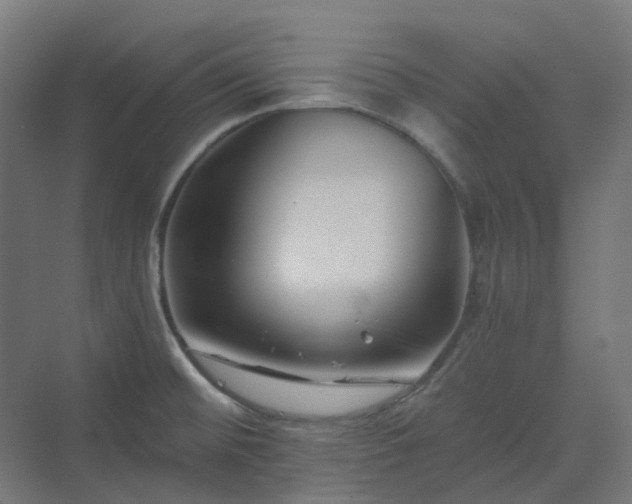 X0000070221476200606021308