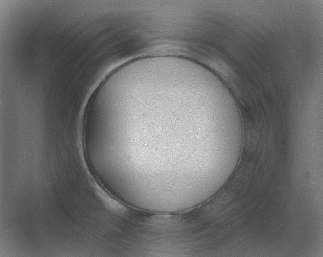 X0000070221478200606021308