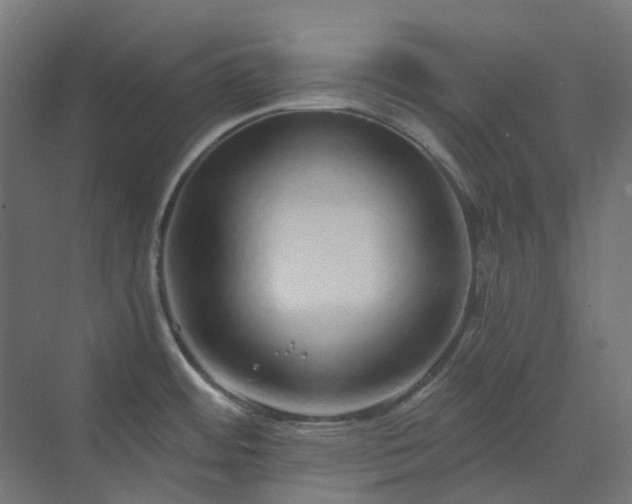 X0000070221484200606021308