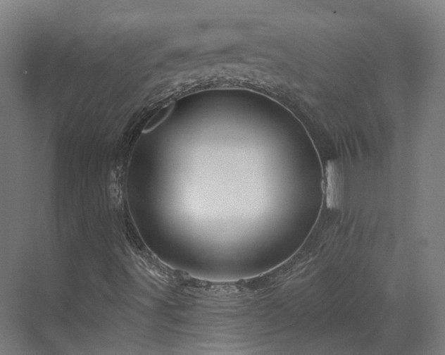 X0000070221491200606021307