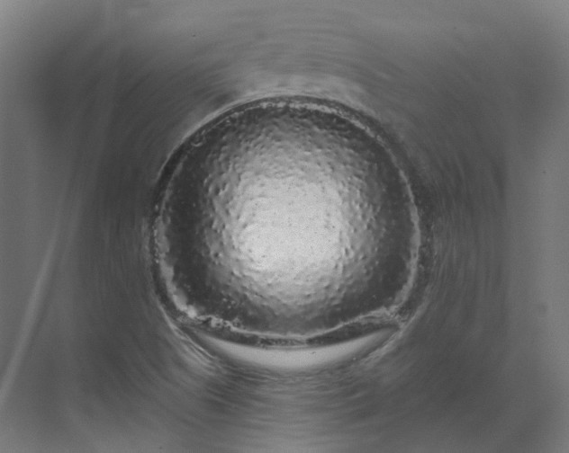 X0000070221505200606021307
