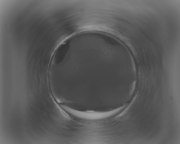 X0000070221529200606021308